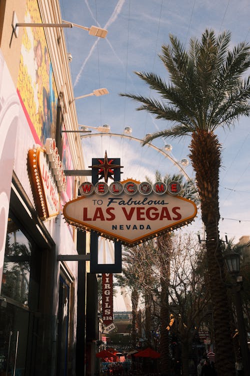 Jackpot Kolikkopelit: Parhaat Voittopotentiaalin Slotit Ja Rahastukset