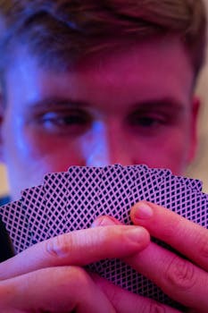 Foxin Wins Kolikkopeli Arvostelu Ja Strategiat