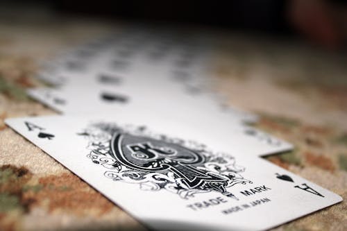 https://images.pexels.com/photos/7891012/pexels photo 7891012