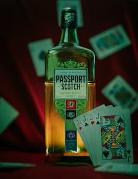 Kolikkopelit Bonus: Vinkit Ja Parhaat Tarjoukset Suomalaisille